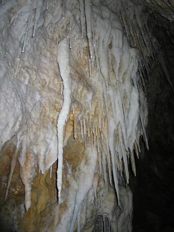 874_7423.JPG