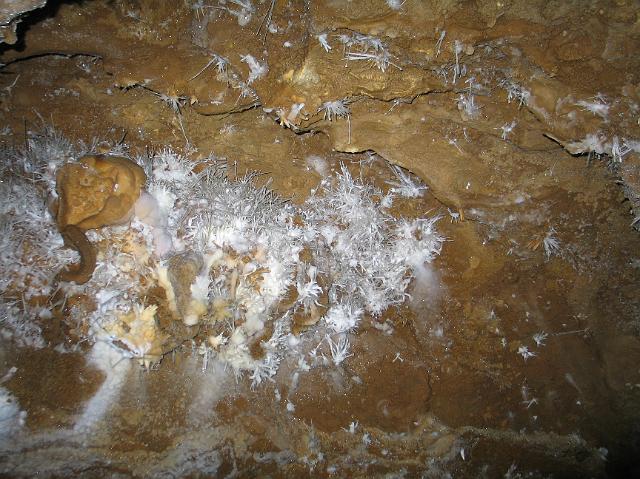 874_7445.JPG