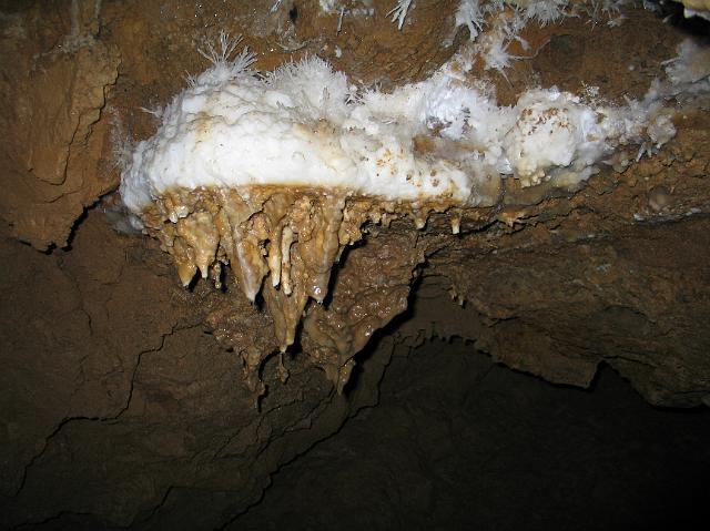 874_7449.JPG