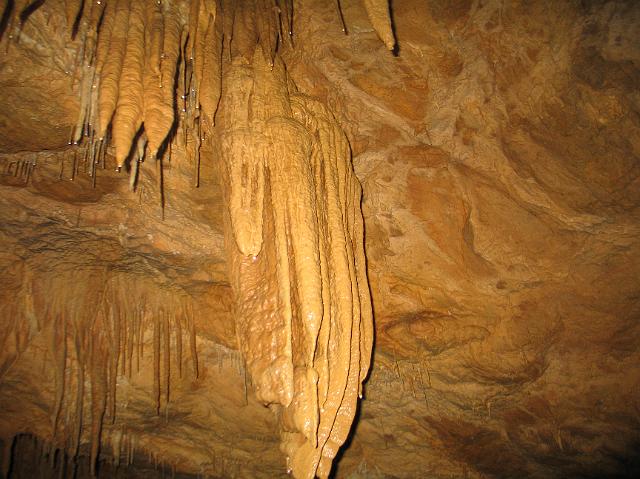 886_8605.JPG
