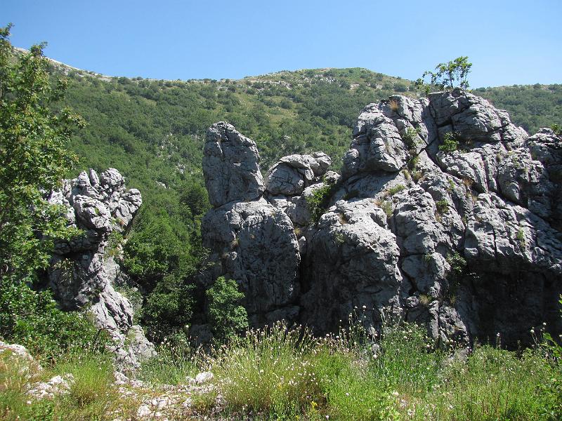 249_3044.JPG