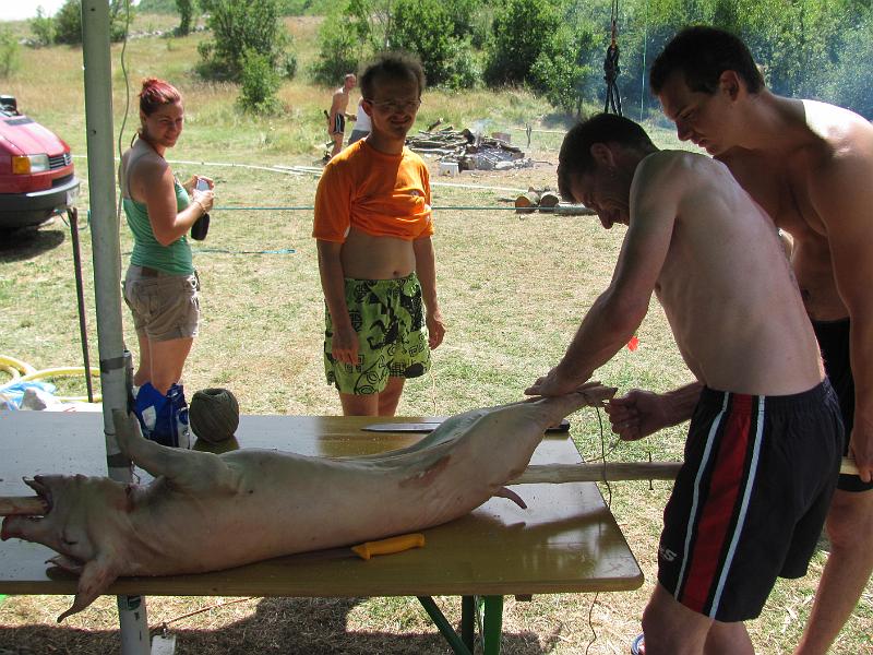250_3054.JPG