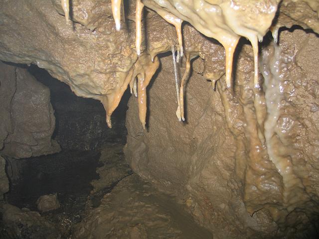 882_8295.JPG