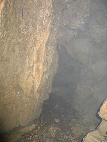 882_8297.JPG