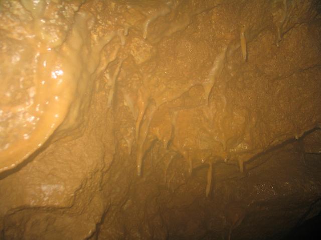 883_8302.JPG