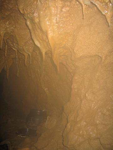 883_8303.JPG