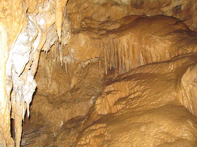 245_2889.JPG