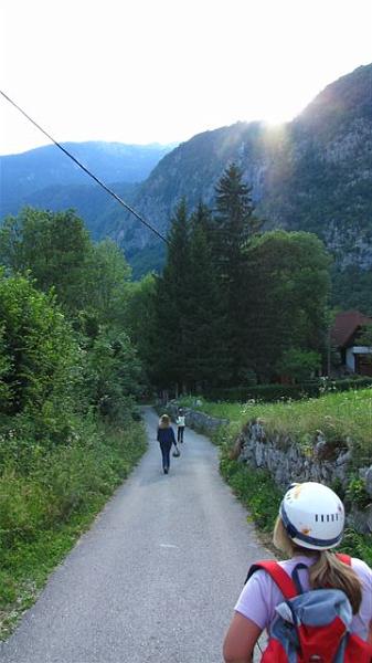 IMG_0203.jpg