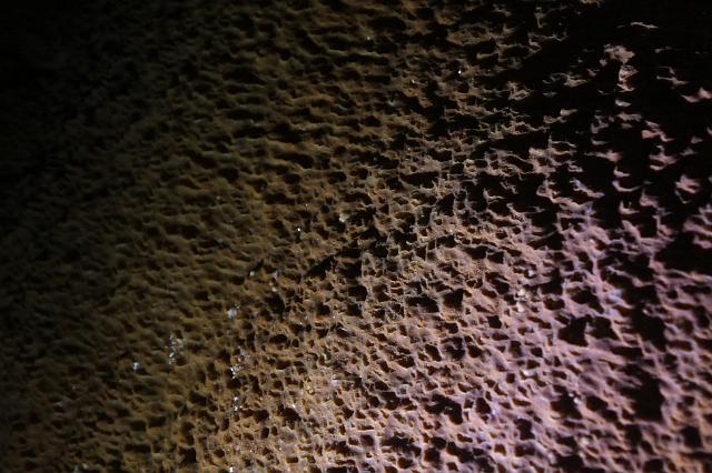 IMG_8933.JPG